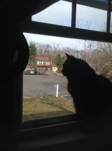 Sophia enjoying open window season 