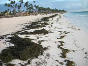 Punta Cana, DR